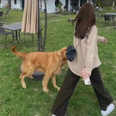 这就是圣诞节