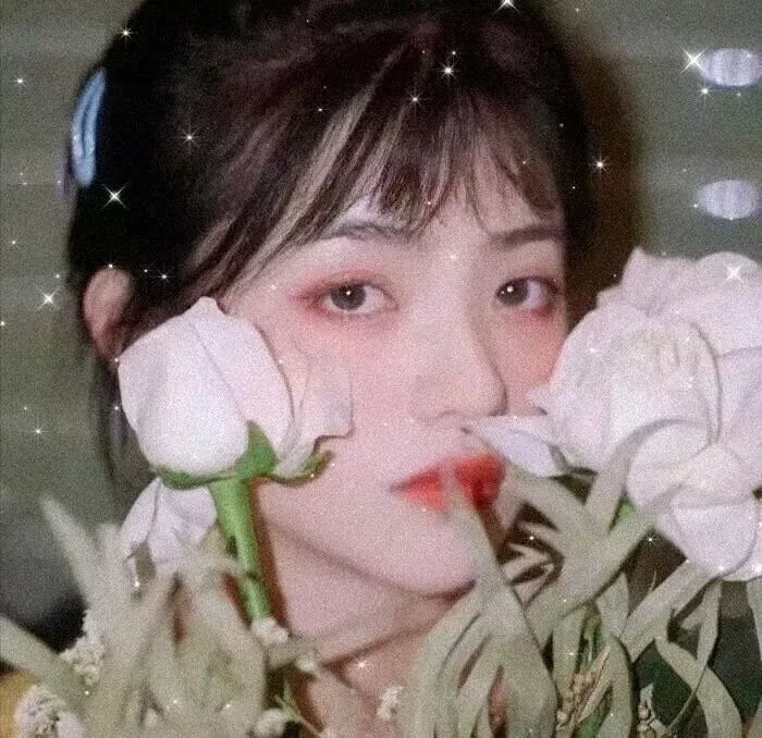 异星兄弟
